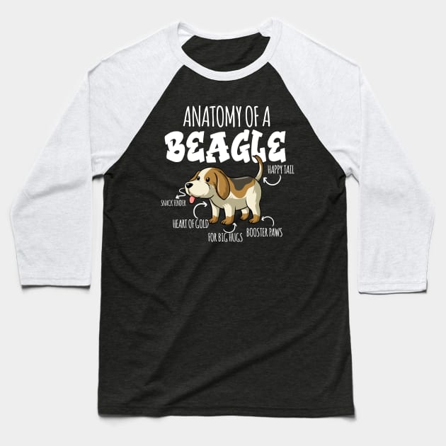 ANATOMY OF A BEAGLE Baseball T-Shirt by DogFav